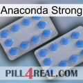 Anaconda Strong 20